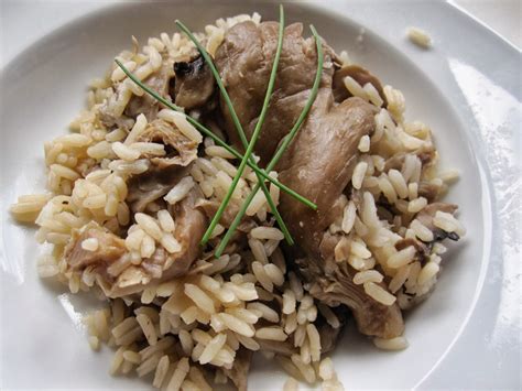  Arroz de Camarão com Cogumelos Silvestres: Uma Sinfonia Saborosa de Texturas Contrastatantes e Aromas Inebriantes?