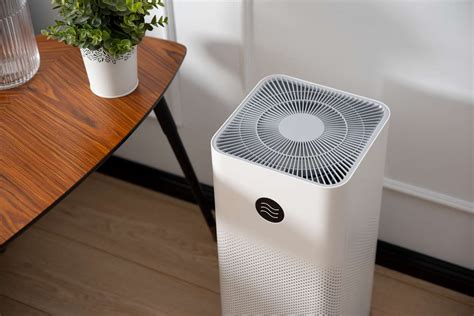 Can an Air Purifier Help with Dust? And Why Do Dust Bunnies Throw Secret Parties?