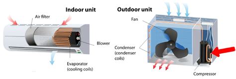 How Many Watts Does a Small Air Conditioner Use? And Why Do Penguins Prefer Cold Rooms?