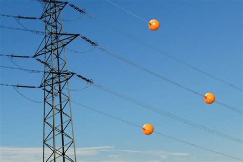 Why Are There Balls on Electric Lines and What Do They Have to Do with Flying Pigs?